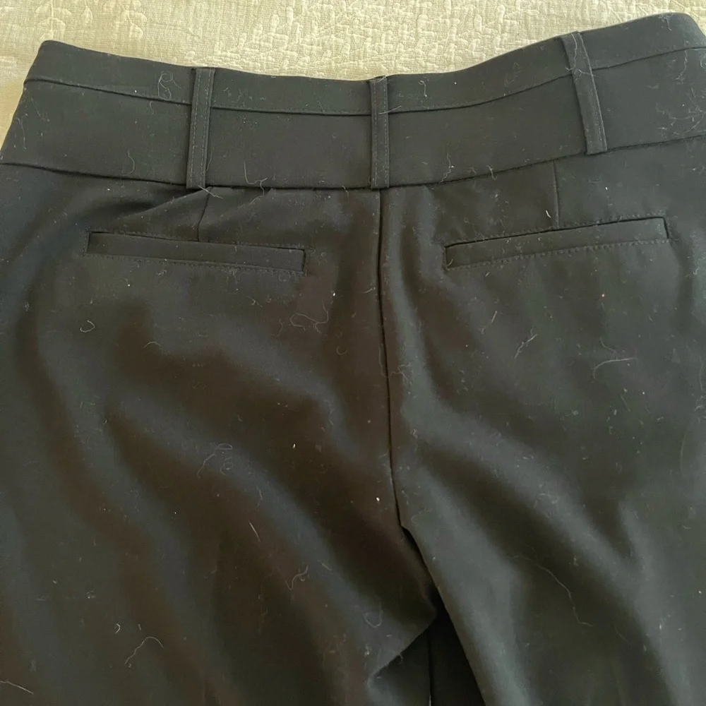 🌼Juniors candies dress pants - Picture 6 of 11